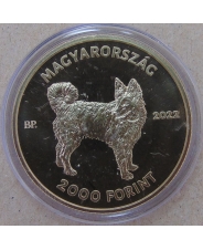 Венгрия 2000 форинтов 2022. Венгерская пастушья собака. Муди BUNC арт. 3456