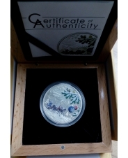 Острова Кука 5 долларов 2012 С Новым годом Ag /сертификат/ коробочка 