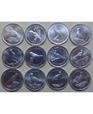 Турция 1 куруш 2020 Анталийские птицы.  Набор 12 монет UNC арт. 1149